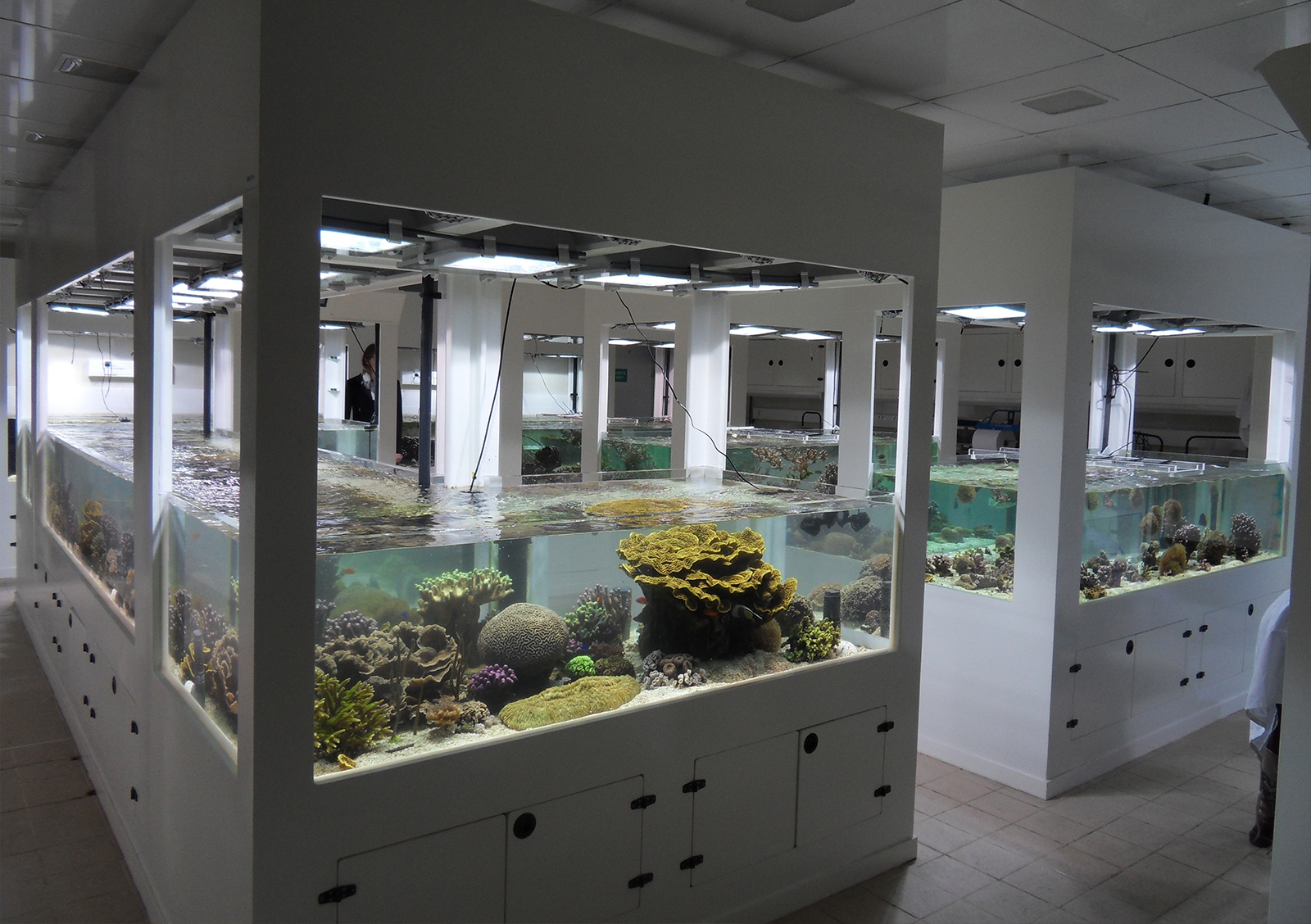 Centre Scientifique Monaco