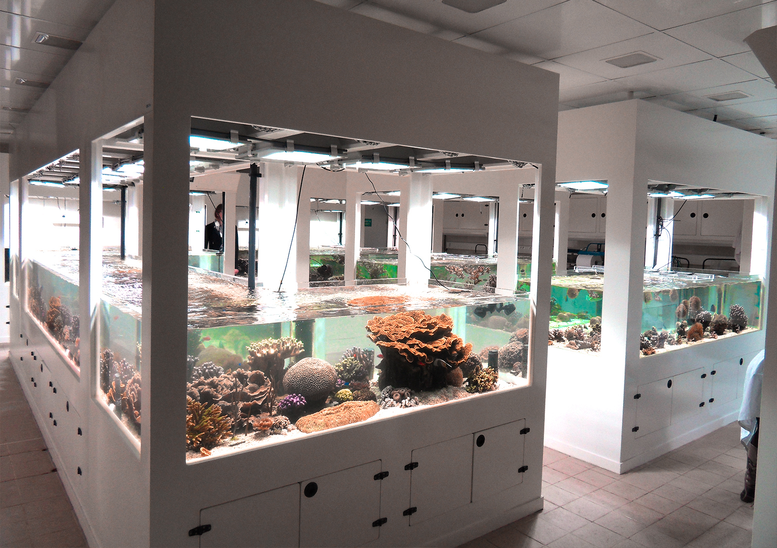 Centre Scientifique Monaco